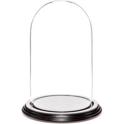 Vucciria 4.5" x 8" Glass Display Dome Cloche