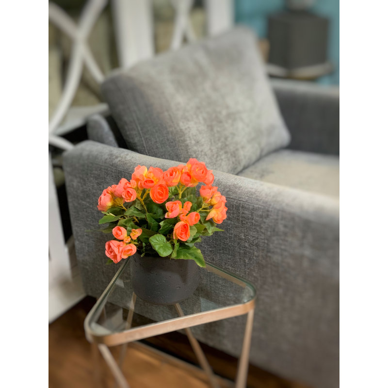 Begonia Floral Arrangement, Orange, Black