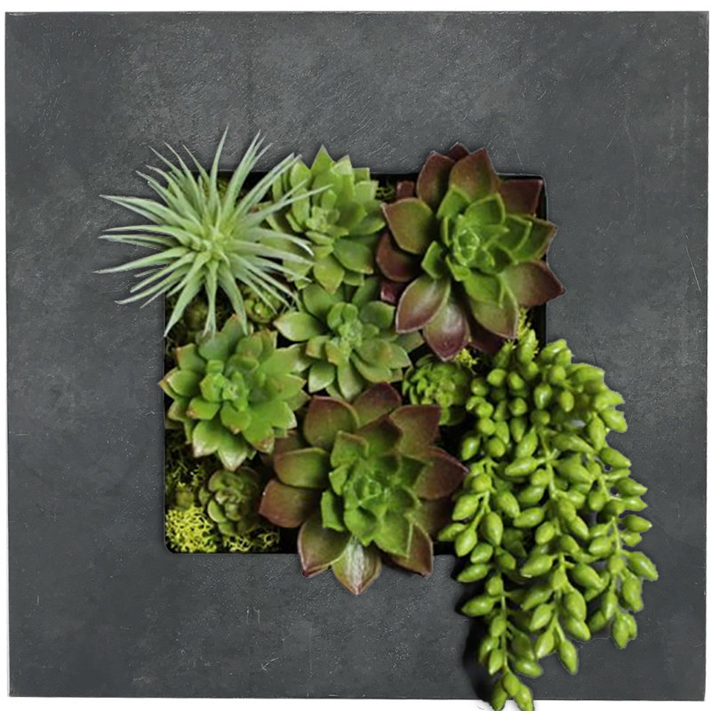 Pot de fleurs mural en acier Willamette, Zinc noir, H 14,2 po x l 14,2 po x P 3,63 po