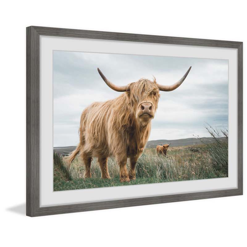 Grazing Cattles - Print, 61cm H x 61cm W x 3.81cm D, Grey Framed Paper