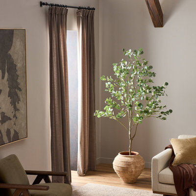 Arbre Merri - Arbre Merri - 7 pi