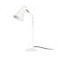 Metal Desk Lamp-1845761972
