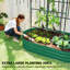 Raised Garden Bed-354643277
