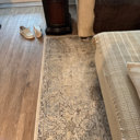 Charlton Home® Sagefield Oriental Indoor Rug & Reviews - Wayfair Canada