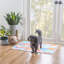 Tapis d'intérieur / extérieur Archie-Lee Kivett-1211239939
