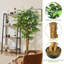 150 cm H Faux Plant