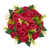 Rouge n'est pas disponible