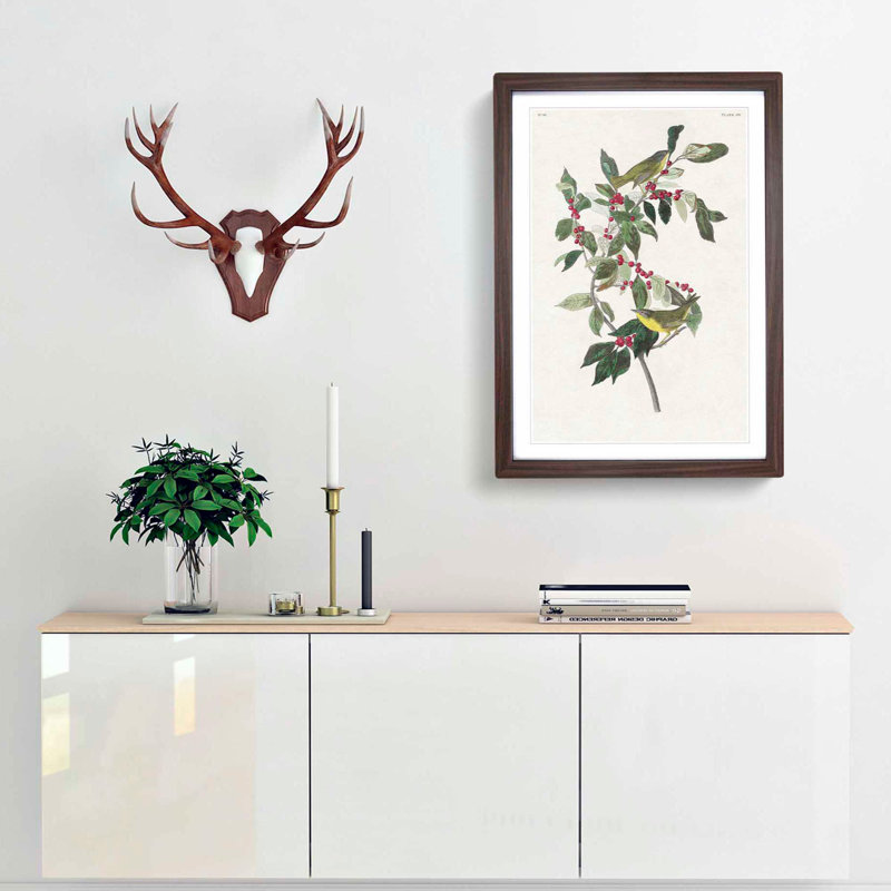 Nashville Warbler Birds by John Audubon - Picture Frame Painting Print, 48cm H x 36cm W x 2cm D, Walnut Framed