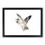 Bird in Flight by Kono Bairei - Framed Print-55457051-55457050