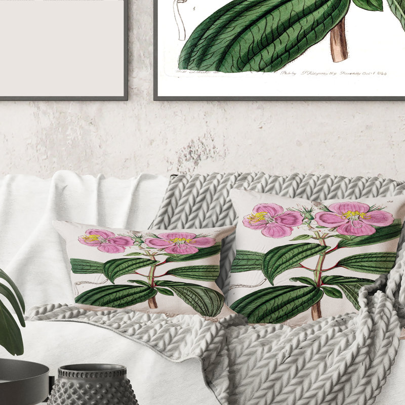 Coussin rétro imprimé Vintage Plant Life XXIII