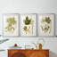 Feuilles antiques IV - impression encadrée sur mesure de qualité supérieure mate - 3 pièces