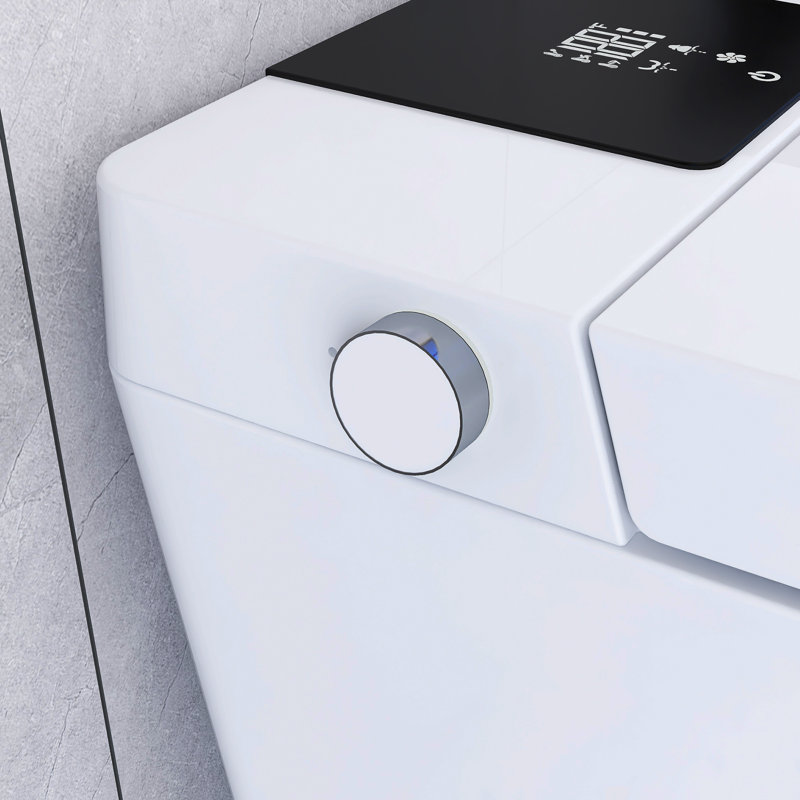 Toilette simple en céramique Smart 1,28 GPF, Blanc