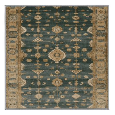 Machine Washable Overdyed Brown Area Rug