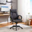 Chaise pour ordinateur Lark Manor ™ Lucent - Gris