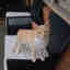 Photos des clients 3 de 3