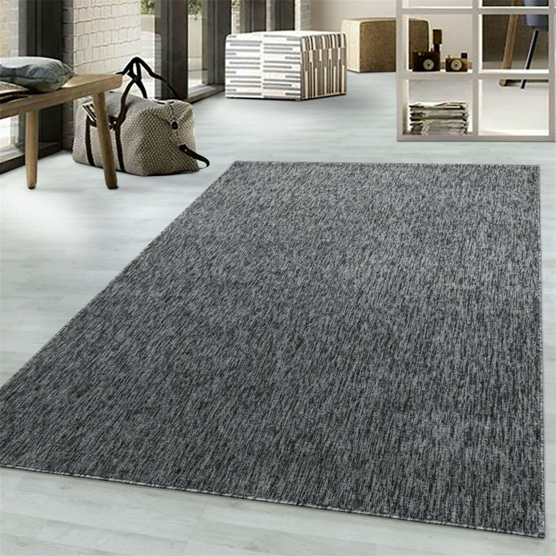 Anelise 170cm X 3cm Area Rug