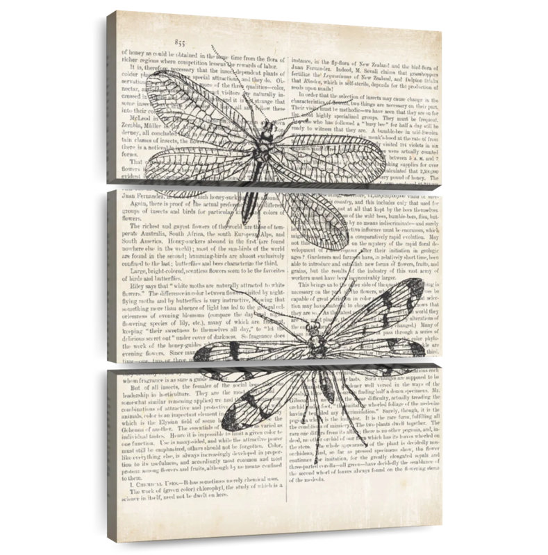 Libellules Brampt rétro sur papier journal, H 23 po x l 14 po