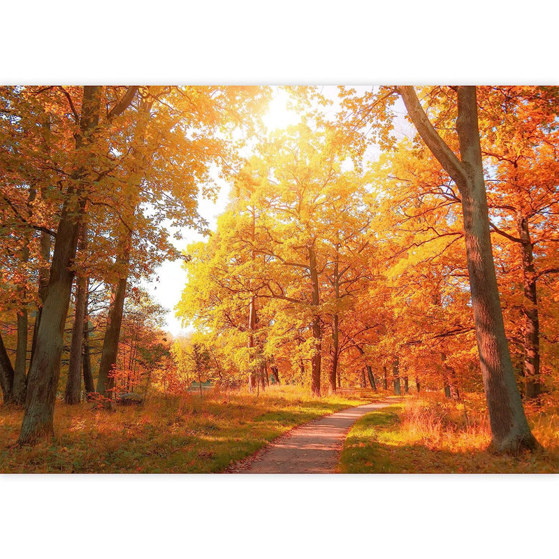 Panneau mural Vibrant Autumn Forest Trail, L 100 po x l 144 po