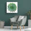 «Succulent Cut Out 09» par Cora Niele - photographie sur toile tendue-709010263