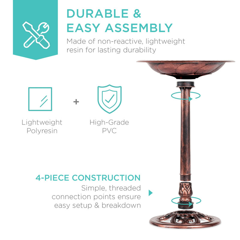 Bain d'oiseaux, Apricot