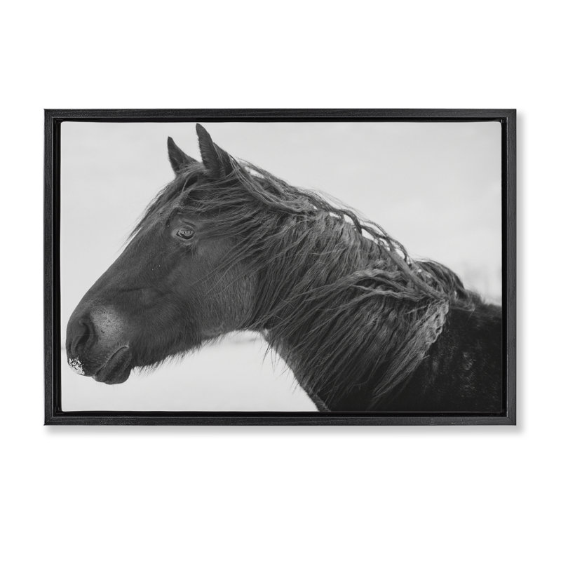 Cadre flottant Draisma Winter Herd Portrait, design par Amy Carroll, H 17 po x l 25 po, Cadre flottant noir de jais