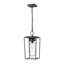 Lanterne suspendue d'extérieur 1 lumière noire Jadine-2055185681