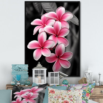 " Plumeria Flower Paradise I "