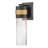 Ryalson Small Outdoor Dark Sky Wall Mount Lantern-1822587344