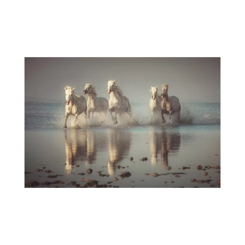 Camargue Horses by Rostovskiy Anton - Print on Canvas, Wrapped Canvas, 66.04cm H x 101.6cm W x 3.81cm D