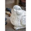 13,5 x 8,5 x 9,5 po Bloch animaux figurines et sculptures