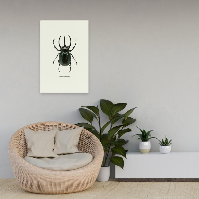 Coléoptère noir - art animaux et insectes, H 24 po x l 16 po
