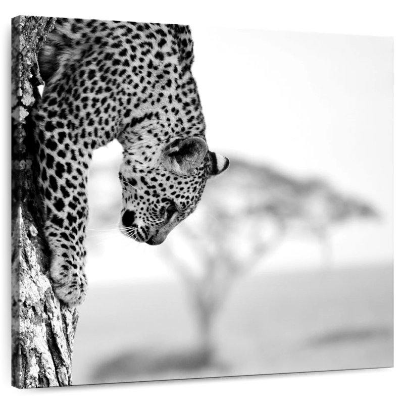 Crowle Leopard Descent
