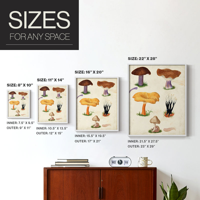 Reproduction encadrée Mushroom Species VII - bois massif, Blanc, H 28 po x l 22 po