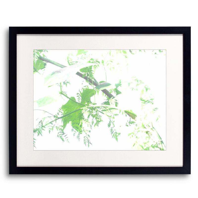 Dream Leaves by Petra Trimmel, 16" H x 20" W, Black Framed Paper