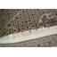 India Area Rug-48171135