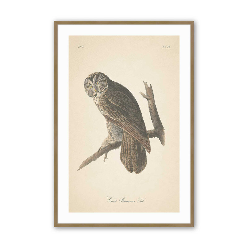 Impression d'un hibou perché dans un, Cadre doré brossé, H 17,25 po x l 13,25 po x P 1,25 po