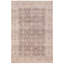 Wool Oriental Indoor Rug