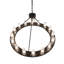 16 - Light Chandelier