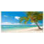 «Landscape Palm Tree over White Sand», reproduction de photo sur toile tendue-906201223