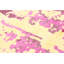 Tapis décoratif en viscose de conception unique 5 pi 4 po x 7 pi 10 po noué à la main New Age