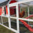 Stough 18.60 Square Feet Chicken Coop with Chicken Run For Up To 6 Chickens