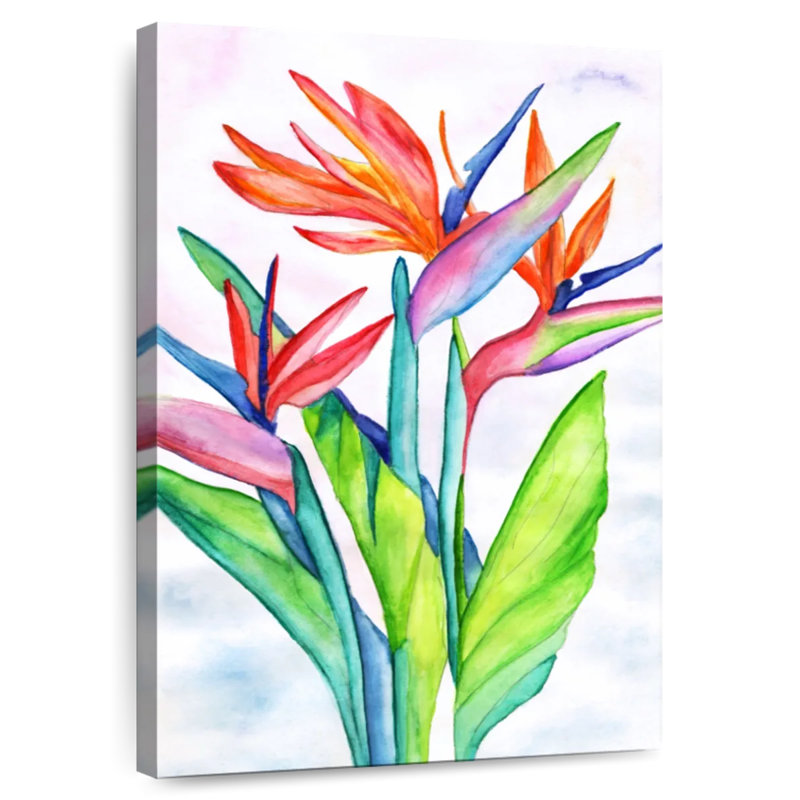 Strelitzias Harnek, H 12 po x l 8 po