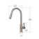 Ancona Aria Pull-Down Single Handle Dual Spray Faucet