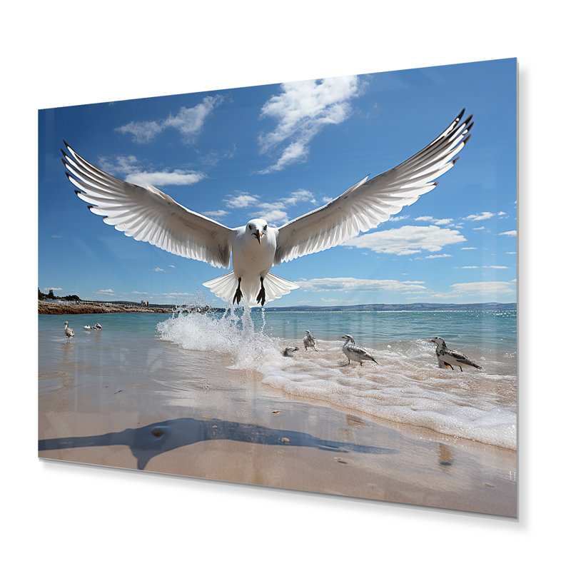 Mouettes bleues en vol à la plage - animaux, impressions sur métal, H 12 po x l 20 po x P 1 po