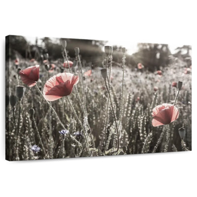Harnek Poppy Impression rétro couleur pop