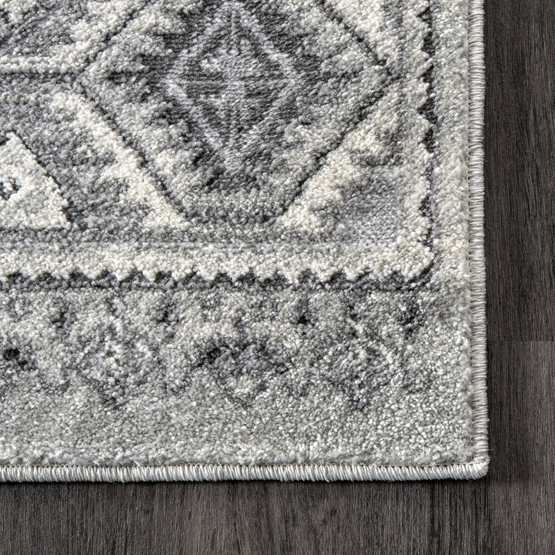 Hildreth Southwestern Indoor Rug, Runner 2' W x 6' L