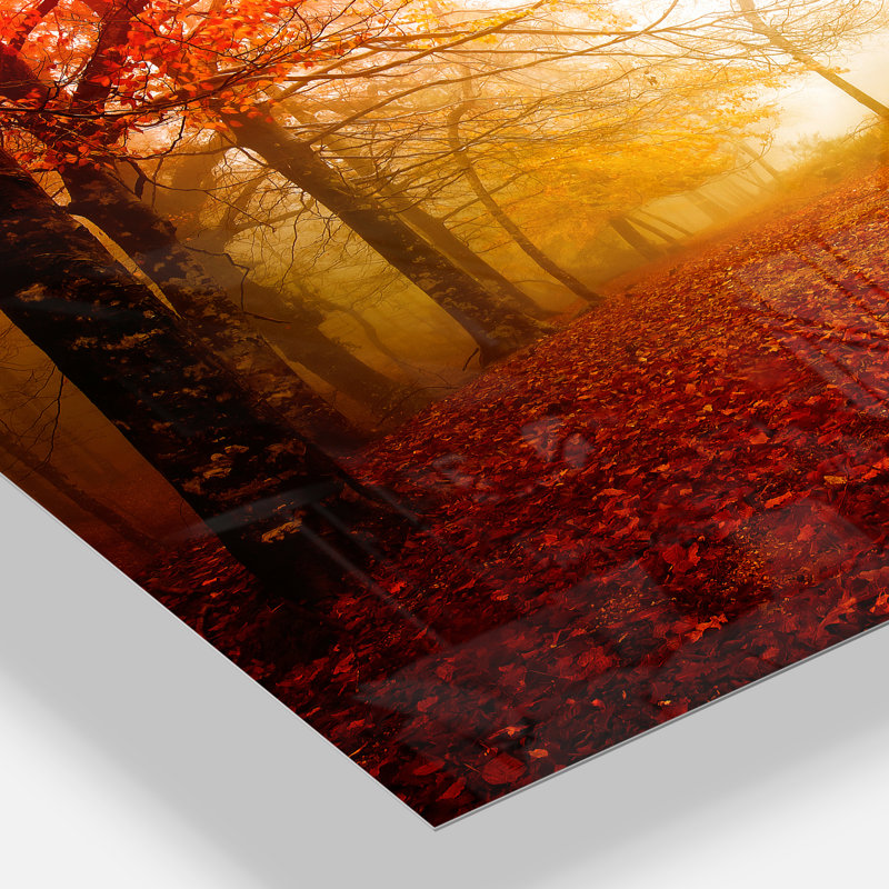 «Yellow Sun Rays in Red Forest», reproduction de photo sur toile tendue, H 30 po x l 40 po x P 1 po, Toile tendue