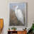 " White Heron II "-1463168759-1463168755