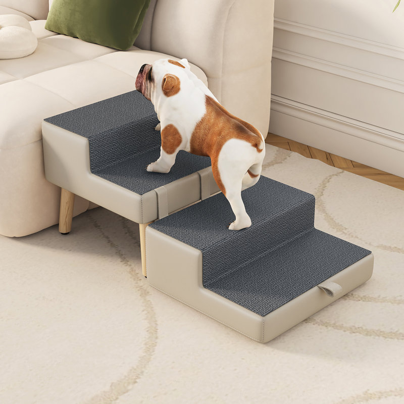Escalier robuste pour chien avec repose-pieds 4 marches, rampe pliable 2 en 1 pour petits chiots et chats