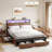 Antioch Modern Bed Frame with 4 Drawers, LED Light and Charging Station-1916939460-1898476079